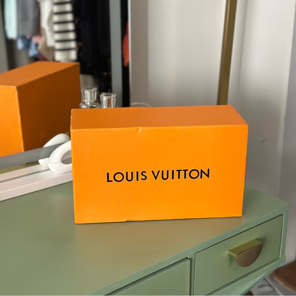 Louis Vuitton Shoe Box